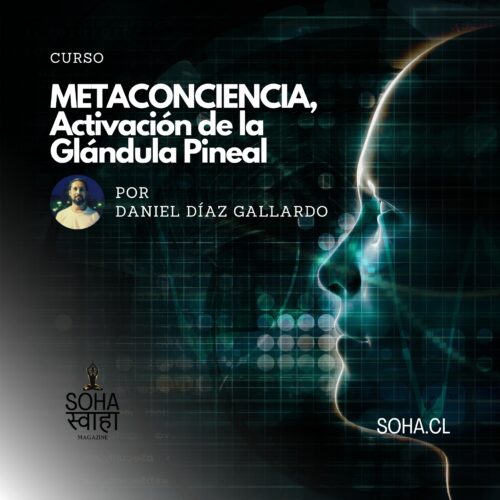 METACONCIENCIA, Activación de la Glándula Pineal