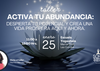 Activa tu abundancia: Despierta tu potencial y crea una vida próspera aquí y ahora.